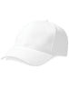Beechfield Pro Style Heavy Cap